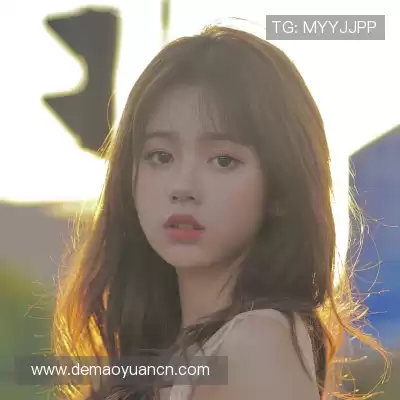 单岑舜